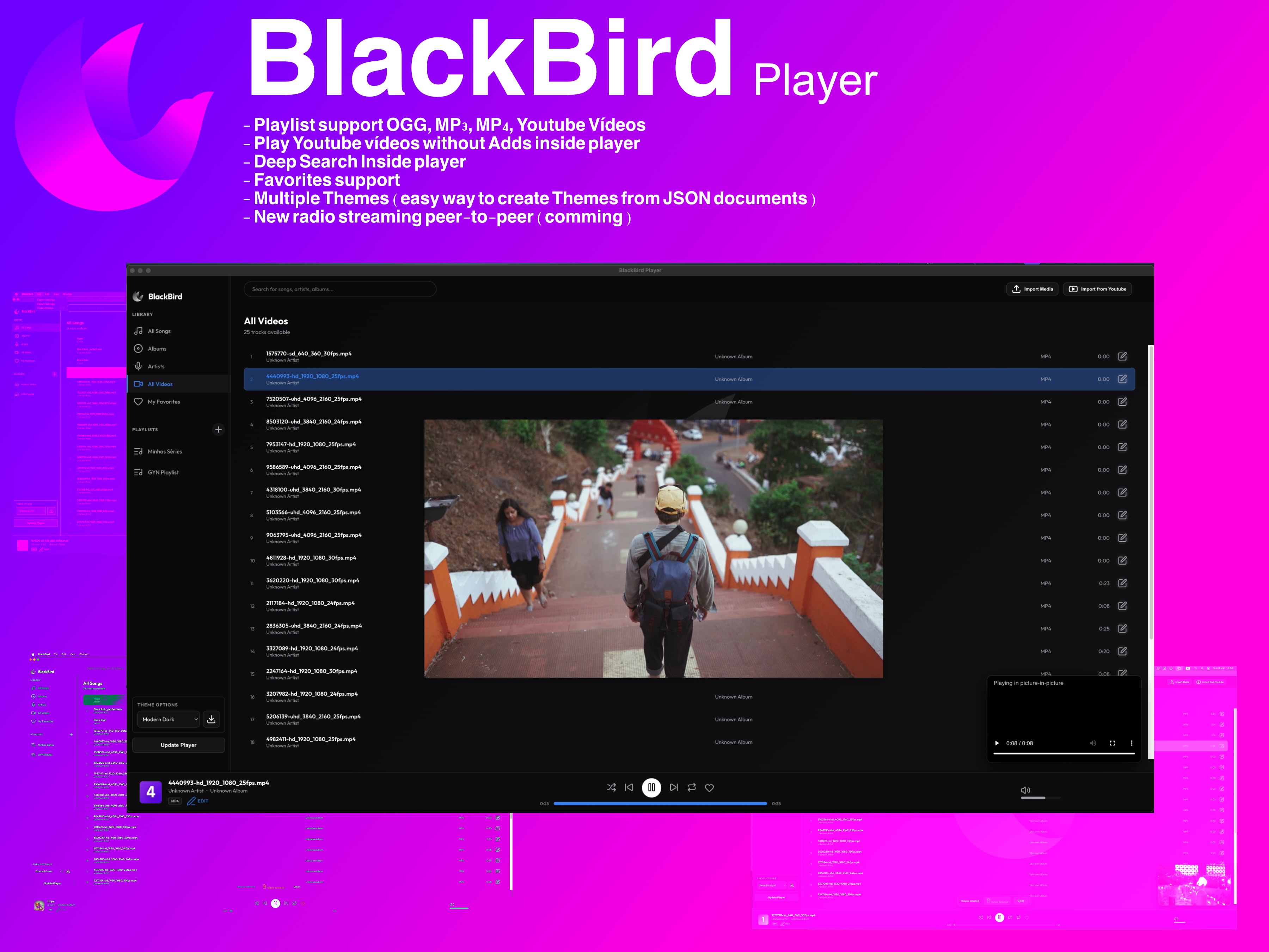 BlackBird Media Player: A Ascensão de um Novo Player Desktop